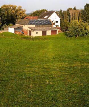 Foto - Einfamilienhaus zum Kaufen in Schönborn