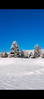 Foto - 4 Zimmer Einfamilienhaus zum Kaufen in Chemnitz