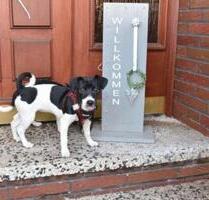 Ferienwohnung Monteurswohnung Westoverledingen Ostfriesland