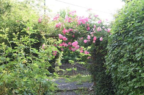 Foto - Einfamilienhaus in Much zum Kaufen