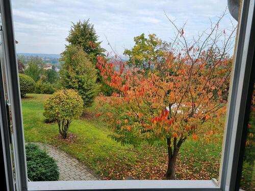 Foto - Etagenwohnung in Zwickau