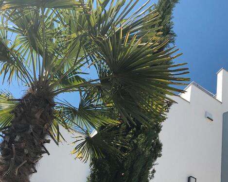 Foto - Etagenwohnung zur Miete in Überlingen