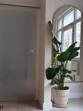 Foto - andere in Frankfurt am Main zur Miete