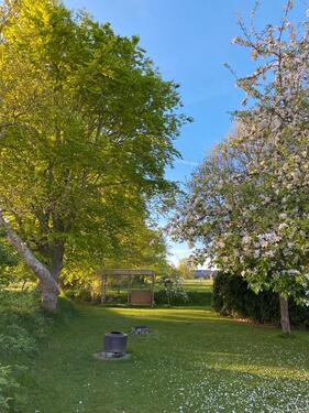 Foto - andere in Jübek