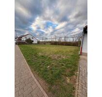 680m2 Grundstück zu vermieten (Gumbsheim) - Wiesbaden Mainz-Kastel