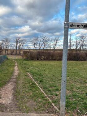 Foto - andere in Wiesbaden zur Miete