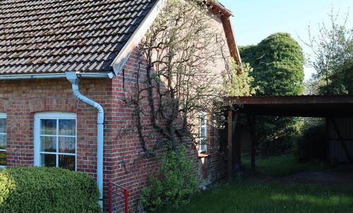 Foto - 4 Zimmer Einfamilienhaus zum Kaufen in Ribnitz-Damgarten