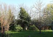 Foto - 4 Zimmer Einfamilienhaus in Ribnitz-Damgarten