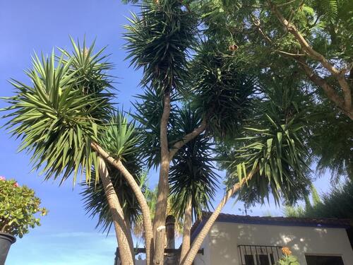 Foto - andere in Westerstede