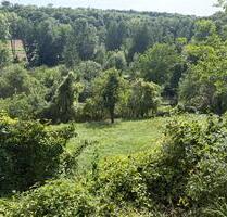Naturgrundstück mit Apfelbäumen – Ruhe, Hanglage, schöne Aussicht - Heilbronn Frankenbach