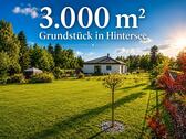 Foto - 5 Zimmer Einfamilienhaus in Liepgarten
