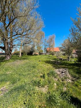 Foto - 2 Zimmer Reihenhaus zum Kaufen in Ahrenshagen-Daskow