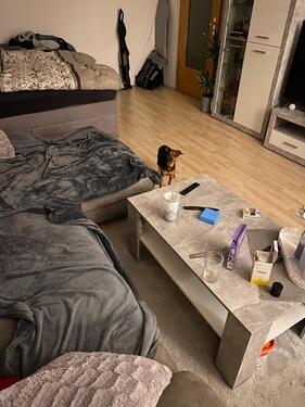 Foto - 1 Zimmer Dachgeschoßwohnung zur Miete in Amt Creuzburg