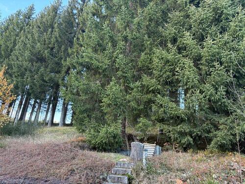 Foto - Reihenhaus in Schönwald im Schwarzwald zur Miete