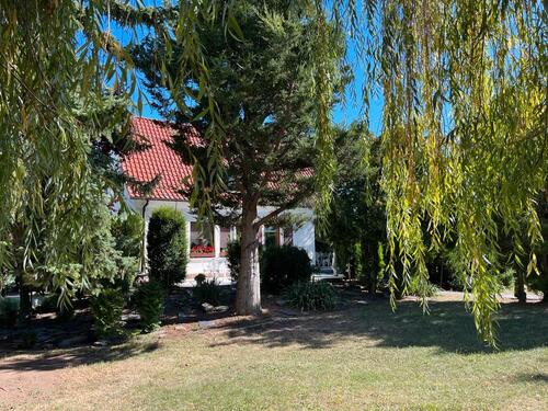 Foto - Einfamilienhaus in Erfurt zum Kaufen