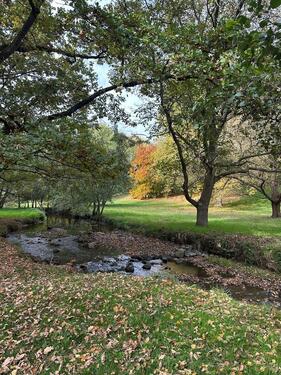 Foto - Toller Garten in Sossenheim zu verpachten