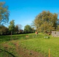 Haus für Tier- und Naturfreunde, Grundstück 4100 m² - Jördenstorf