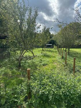 Foto - Grundst&uuml;ck in Frankfurt am Main