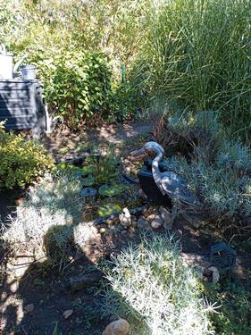 Foto - Garten im KGV am Abzweig Reick - 1.000,00 EUR Kaltmiete, ca.  0,00 m²