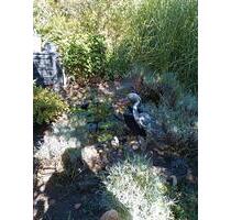 Garten im KGV am Abzweig Reick - 1.000,00 EUR Kaltmiete, ca.  0,00 m² in Dresden (PLZ: 01277) Blasewitz