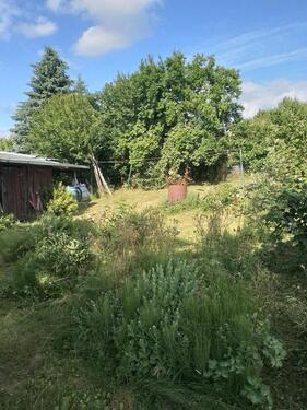 Foto - Einfamilienhaus zum Kaufen in Colditz