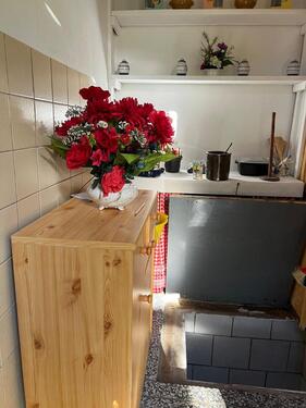 Foto - Pachtgarten in Aue abzugeben! Sofort!