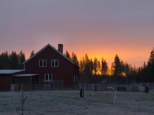 Foto - Haus in Vormsele (Schweden) mit großem Nebengelass zu verkaufen