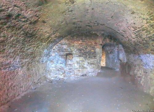 Foto - Keller zu vermieten - 55,00 EUR Miete,