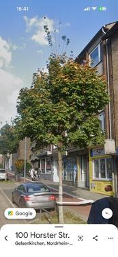 Foto - Gelsenkirchen Buer laden Lokal Büro 80 qm