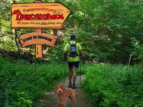 Foto - Ferienwohnung mit Hund. Sauna im Garten