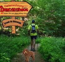 Ferienwohnung mit Hund. Sauna im Garten - Rimbach
