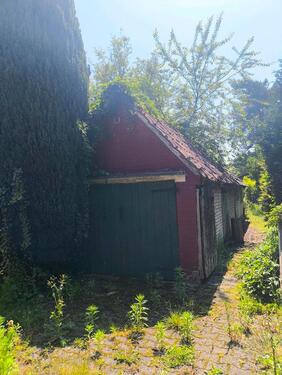 Foto - Einfamilienhaus in Papenburg zum Kaufen