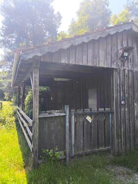 Foto - 