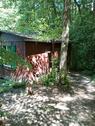 Foto - Waldhütte Ferienhaus Wanderhütte abgelegen Waldbaden Holzhütte