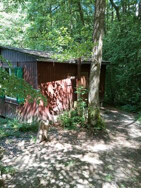 Foto - Waldhütte Ferienhaus Wanderhütte abgelegen Waldbaden Holzhütte