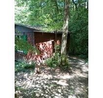Waldhütte Ferienhaus Wanderhütte abgelegen Waldbaden Holzhütte - Vacha