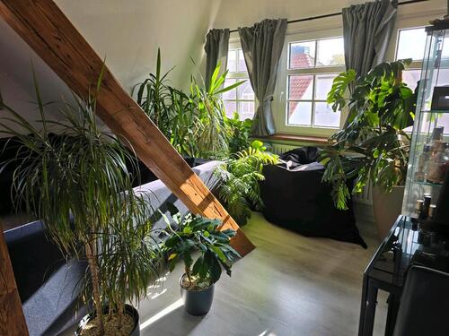 Foto - Etagenwohnung in Wolfsburg zur Miete