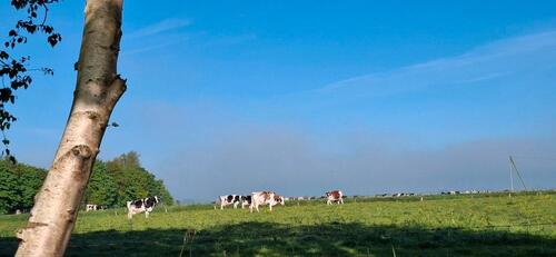Foto - Ruhige Siedlungslage Doppelhaushälfte in Moormerland