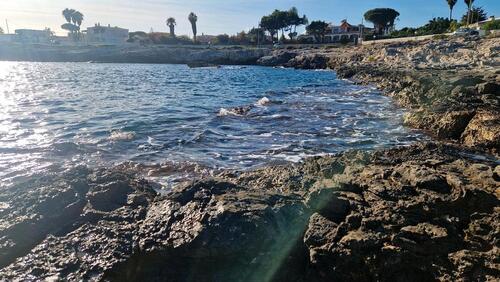 Foto - andere in Berlin