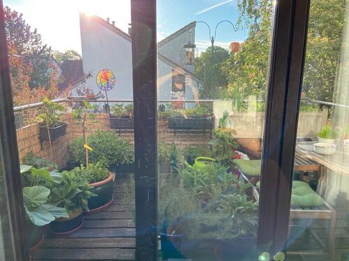 Foto - 2 Zimmer Dachgeschoßwohnung zur Miete in Mainz