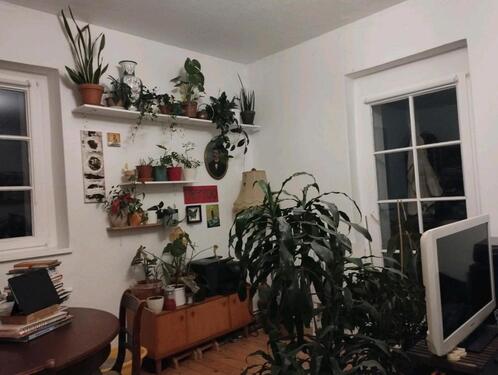 Foto - Etagenwohnung zur Miete in Fürstenwalde (Spree)