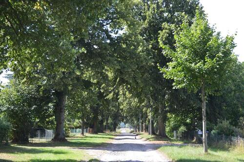 Foto - andere zur Miete in Ferdinandshof