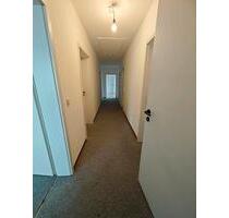 Frisch renovierte großzügige Wohnung in Altenoythe - Friesoythe