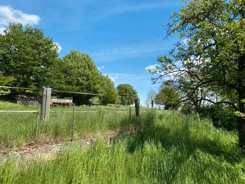 Foto - Grundst&uuml;ck zur Miete in Volkmarsen