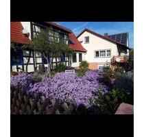 Haus zur Miete in Winden - 1.600,00 EUR Kaltmiete, in Steinweiler (PLZ: 76872)