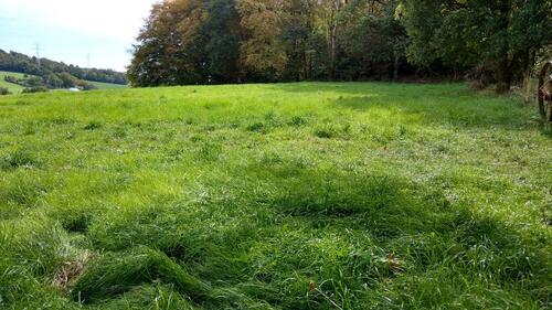 Foto - Grundst&uuml;ck zur Miete in Velbert