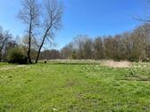 Foto - Naturgrundstück zur Pacht - 300,00 EUR Kaltmiete, ca.  0,00 m²