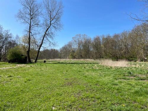Foto - Naturgrundstück zur Pacht - 300,00 EUR Kaltmiete, ca.  0,00 m²