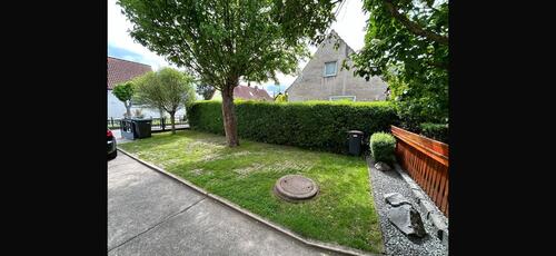 Foto - 2 Zimmer andere in Halle (Saale)