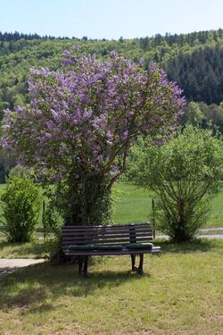 Foto - andere in Weinbach